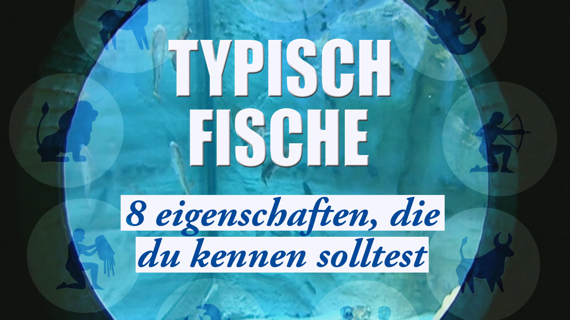 Sternzeichen Fische Wie Der Fisch Fuhlt Denkt Und Handelt