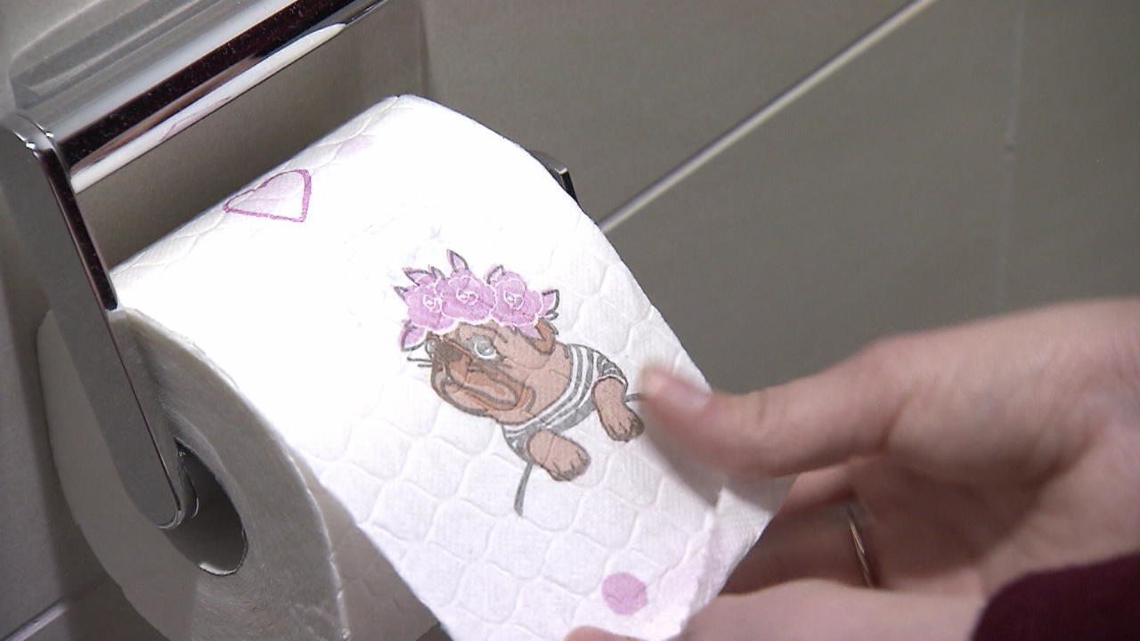 Mopse Im Rollkragenpulli Dieses Klopapier Wollen Jetzt Alle