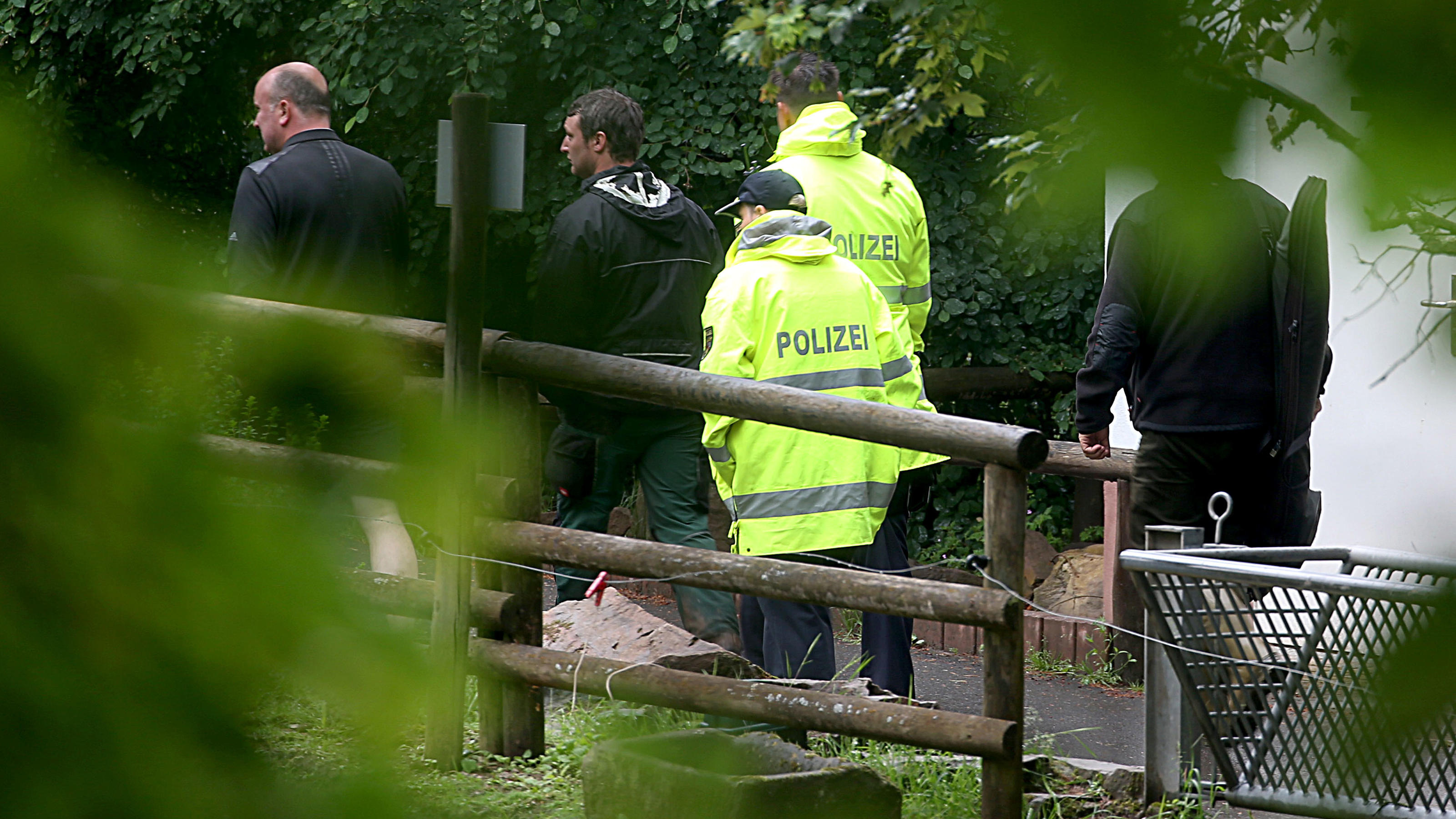 Mitarbeiter und Polizei konnten die Raubtiere, die aus dem Eifel-Zoo Tierpark Neu-Bierbach entkommen waren, wieder einfangen.