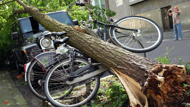 Baum auf Auto und Fahrräder gestürzt