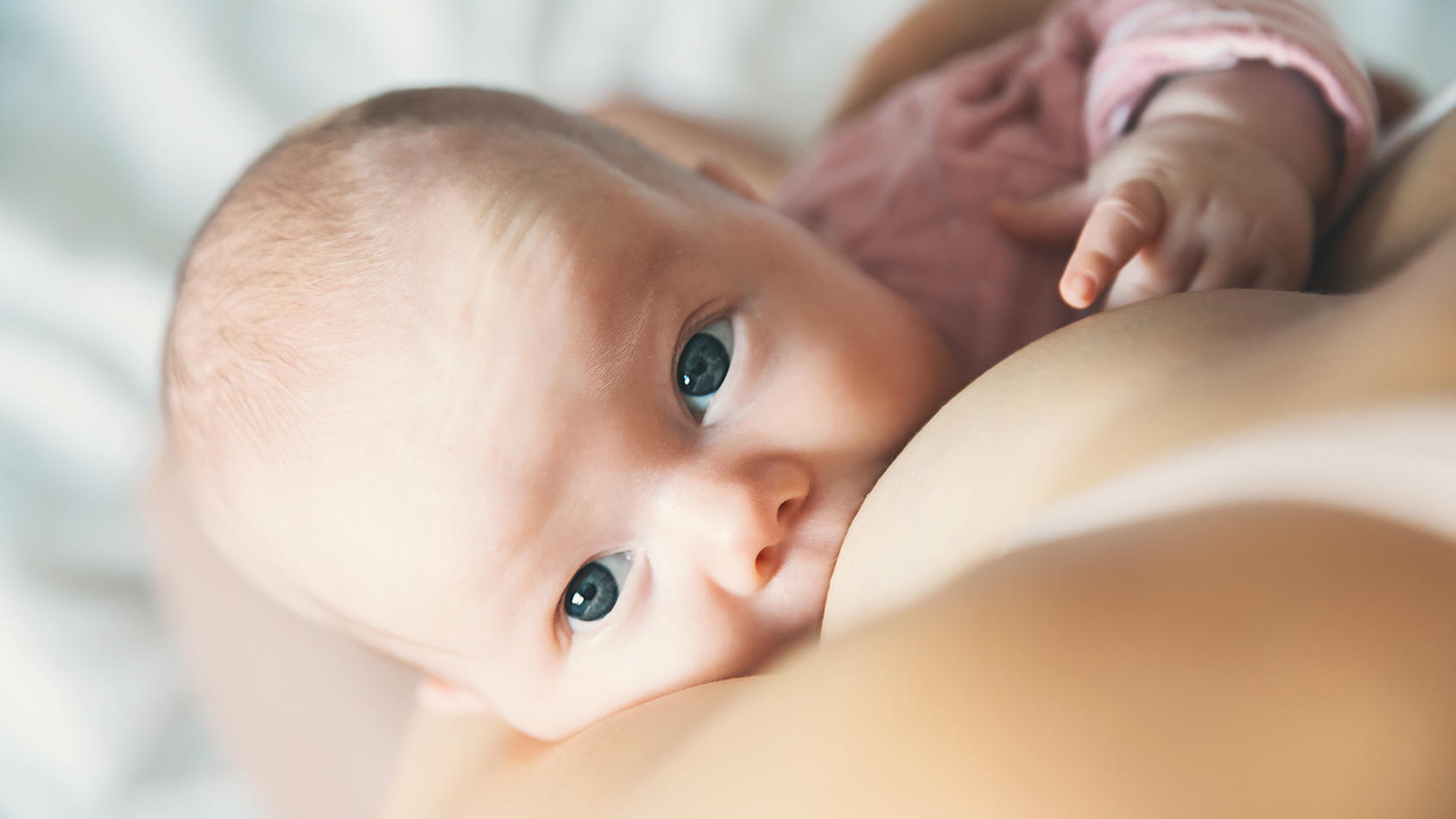 Baby wird von seiner Mutter an der Brust gestillt und schaut mit großen Augen in die Kamera