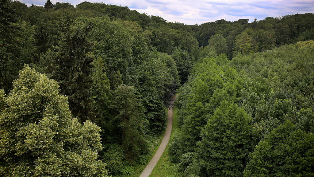 13.06.2018: Nordrhein-Westfalen, Velbert: Ein Weg führt durch einen Wald in der Nähe des Parkbades. Auf dem Weg nach Hause nach einem Freibadbesuch sollen mehrere Jungen eine 13-Jährige in einen Wald gezerrt und missbraucht haben. Foto: Oliver Berg/d