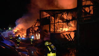 Im Frankfurter Stadtteil Fechenheim hat ein Feuer eine Lagerhalle komplett zerstört.