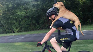Radfahrer Jarrett Little trägt den verletzten Hund Columbo auf dem Rücken. Er war ihm bei einer Pause am Waldrand zugelaufen.