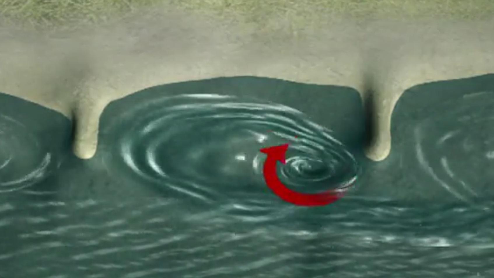 Diese Grafik zeigt, welche Strömungen sich zwischen zwei Buhnen ergeben. Der Sog, der entsteht, kann einen Menschen in die Tiefe ziehen.