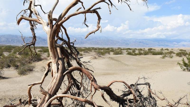 Death Valley National Park