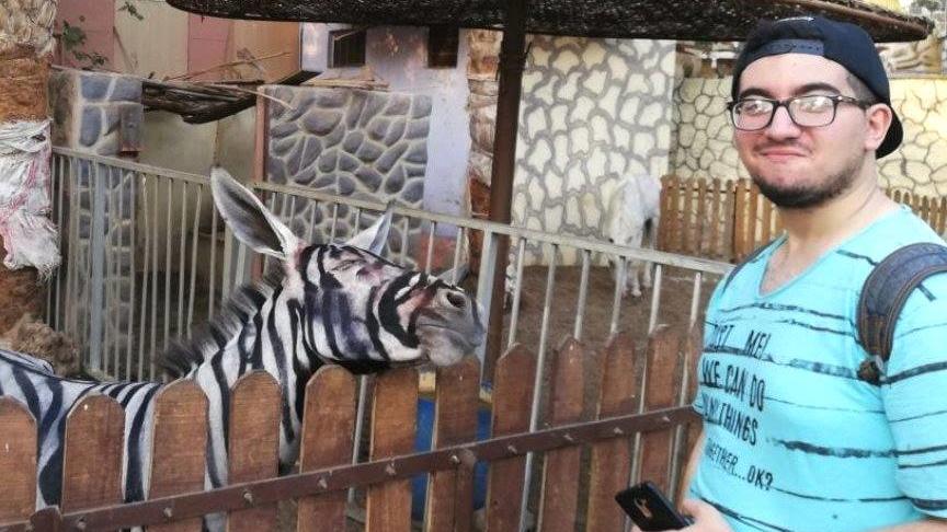 Dieses Foto lud Student und Zoobesucher Mahmoud A. Sarhan bei Facebook hoch. Der Post verbreitete sich rasend und immer mehr Nutzer zweifelten die Echtheit des "Zebras" an.