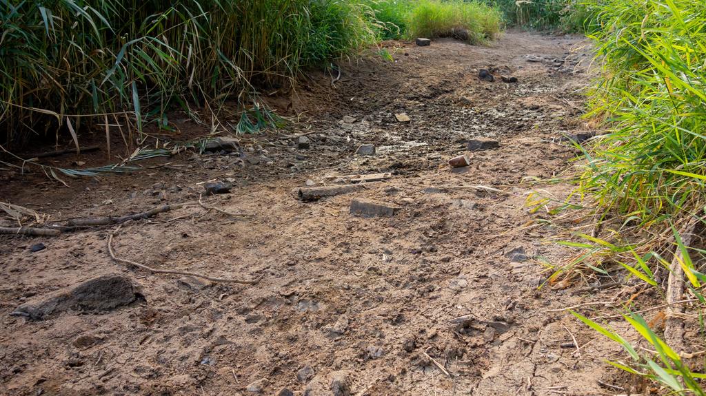 DEU/Deutschland/Brandenburg/Senftenberg, 01.08.2018, Hitzewelle laesst Fluesse austrocknen. Der Fluss "Schwarze Elster" liegt in Senftenberg trocken. Die anhaltende Hitzewelle mit Temperaturen bis 38 Grad und fehlender Regen hat die Schwarze Elster a