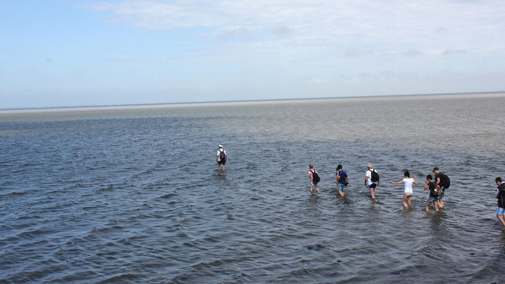 Im Wattenmeer sind besonders die Priele gefährlich für Wanderer. Auch durch Schlick und Treibsand droht Gefahr.