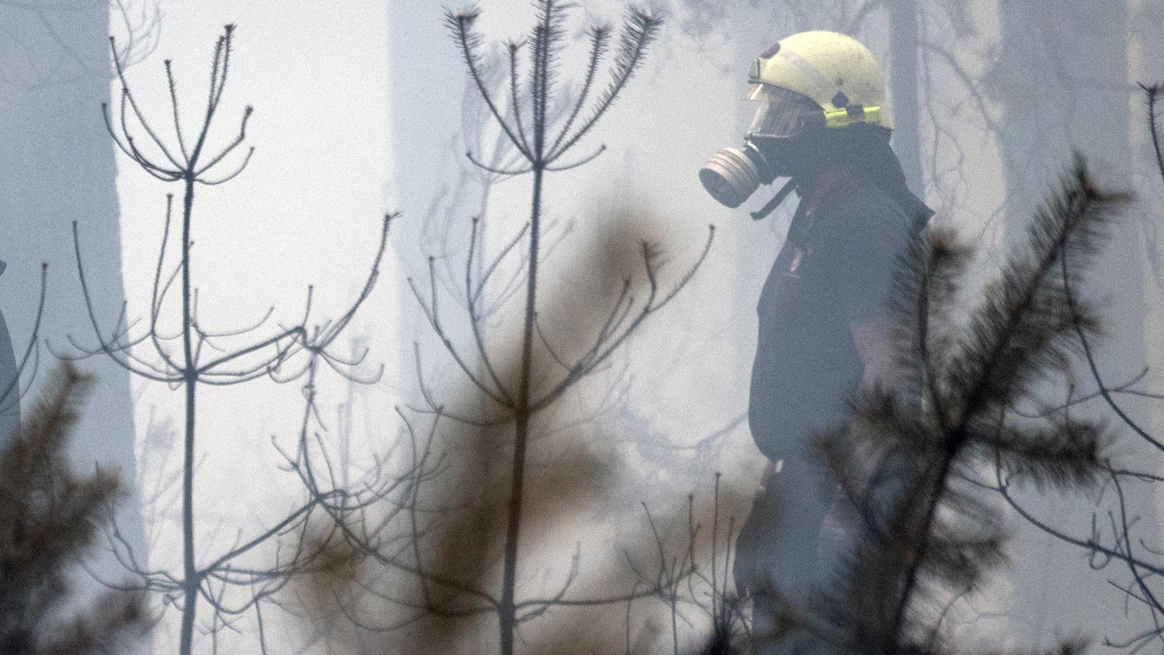 Ein Feuerwehrmann bekämpft einen Waldbrand bei Beelitz. 