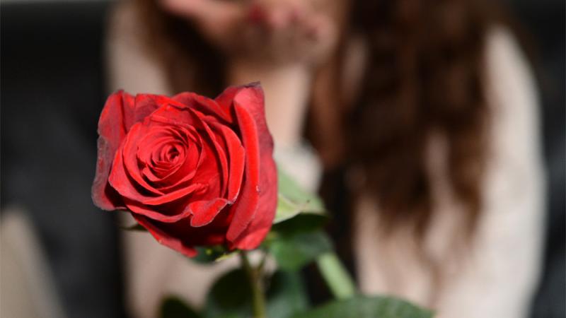 Bachelorette: Die letzte Rose!