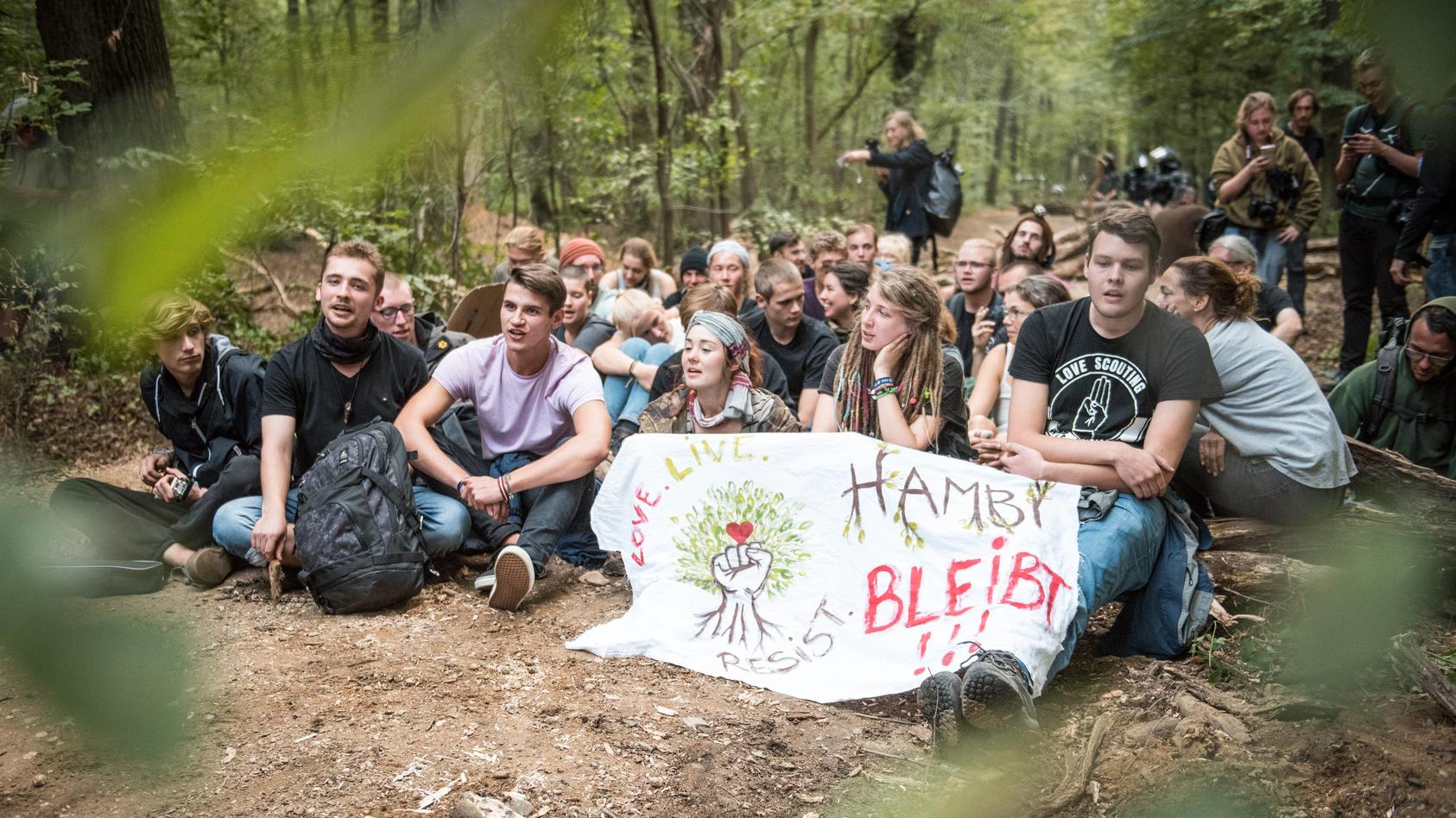 Waldspaziergang im Hambacher Forst & ziviler Ungehorsam Aktivisten mit Transparent Hambi bleibt b