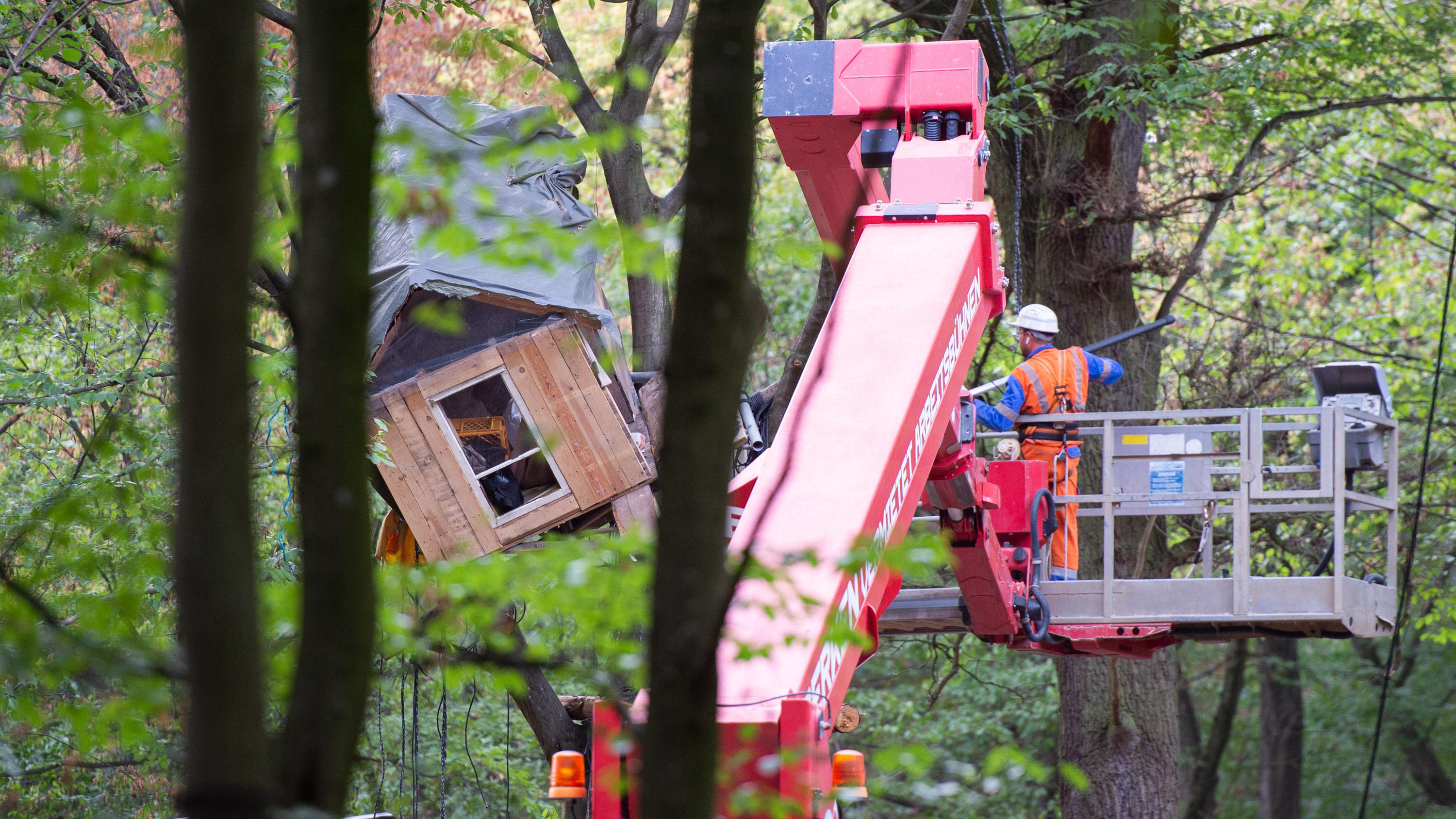 Ein geräumtes Baumhaus im Hambacher Forst wird abgebaut. 