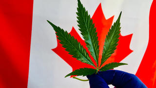Kanadische Flagge mit Marihuana-Blatt