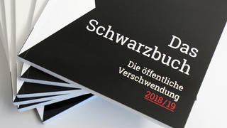 06.11.2018, Berlin: Der Bund der Steuerzahler stellt auf einer Pressekonferenz das neue "Schwarzbuch" vor. Der Verband kritisiert an Beispielen einen verschwenderischen Umgang mit Steuergeldern. Foto: Wolfgang Kumm/dpa +++ dpa-Bildfunk +++