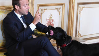 Nemo und Emmanuel Macron