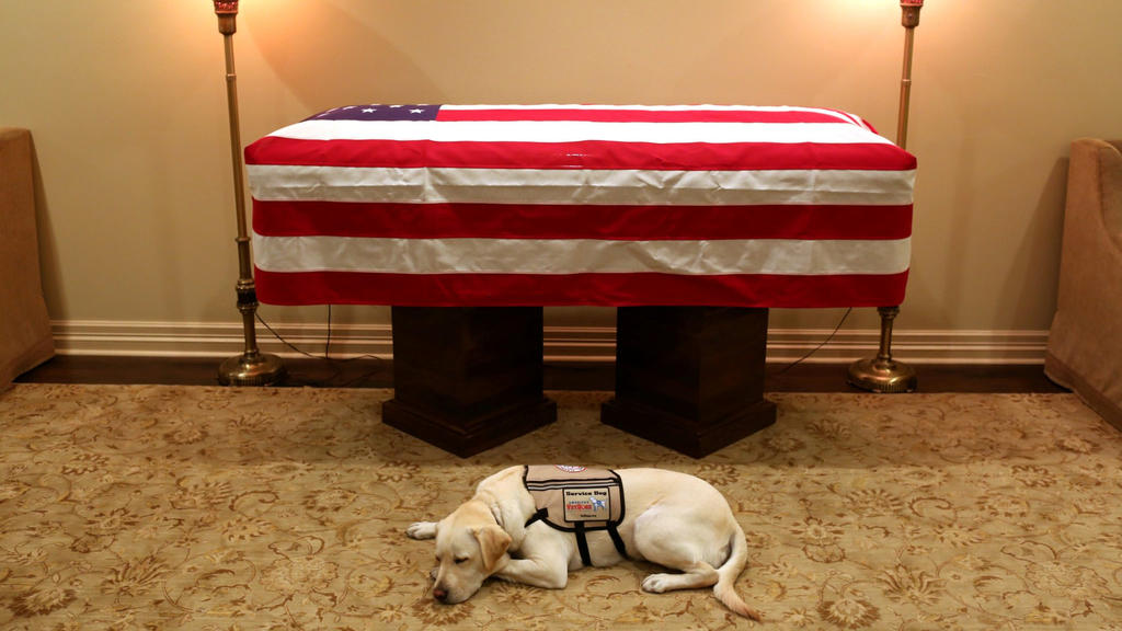 Hund "Sully" von Ex-US-Präsident George H. W. Bush i
