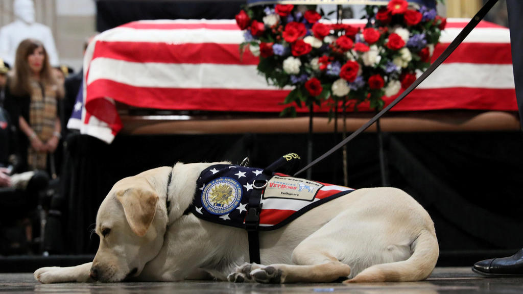 Sully the service dog of former U.S. President George H.W. Bush lays in front of Bush's casket as it lies in state inside the U.S. Capitol Rotunda on Capitol Hill in Washington, U.S., December 4, 2018. REUTERS/Jonathan Ernst TPX IMAGES OF THE DAY