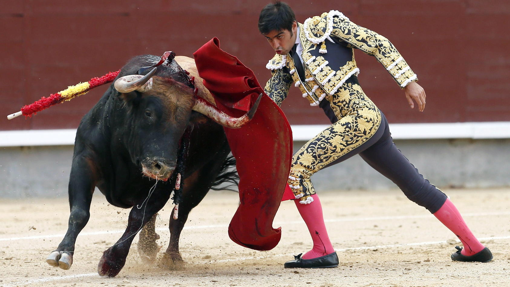 epa04782051 Spanish bullfighter Miguel Angel Perera fights with his first bull during the Welfare bullfight held at Las Ventas bullring in Madrid, Spain, 03 June 2015. EPA/JUANJO MARTIN +++(c) dpa - Bildfunk+++