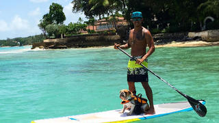 Lewis Hamilton und Coco beim Surfen