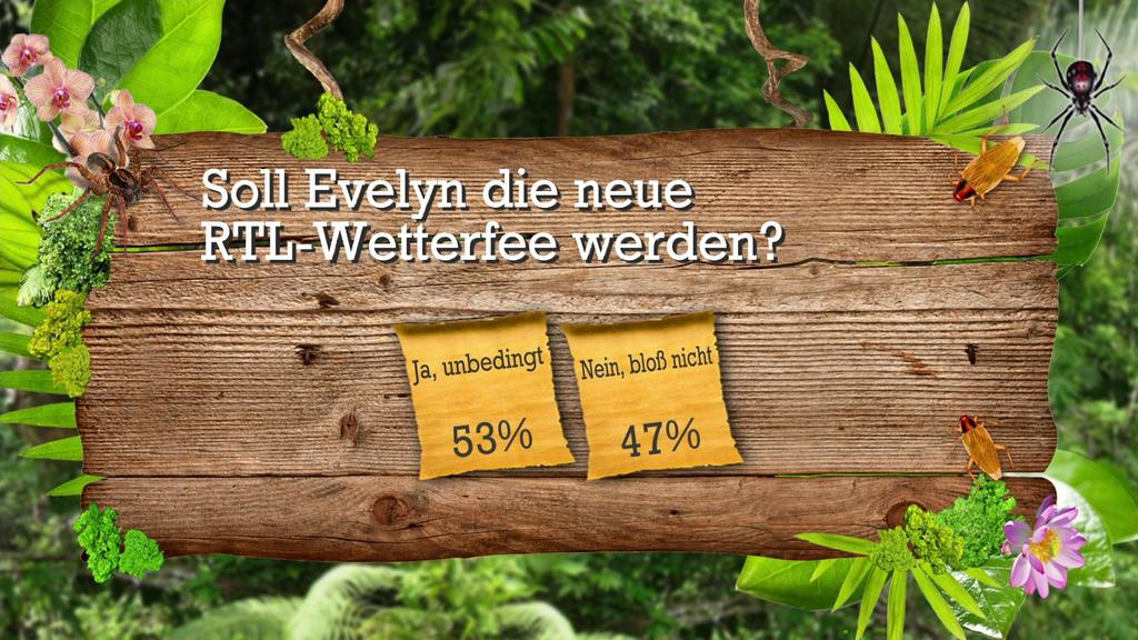 Die Stunde danach: Die Zuschauerfrage Tag 7
