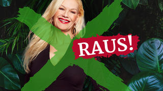 Dschungel rausfaller sibylle