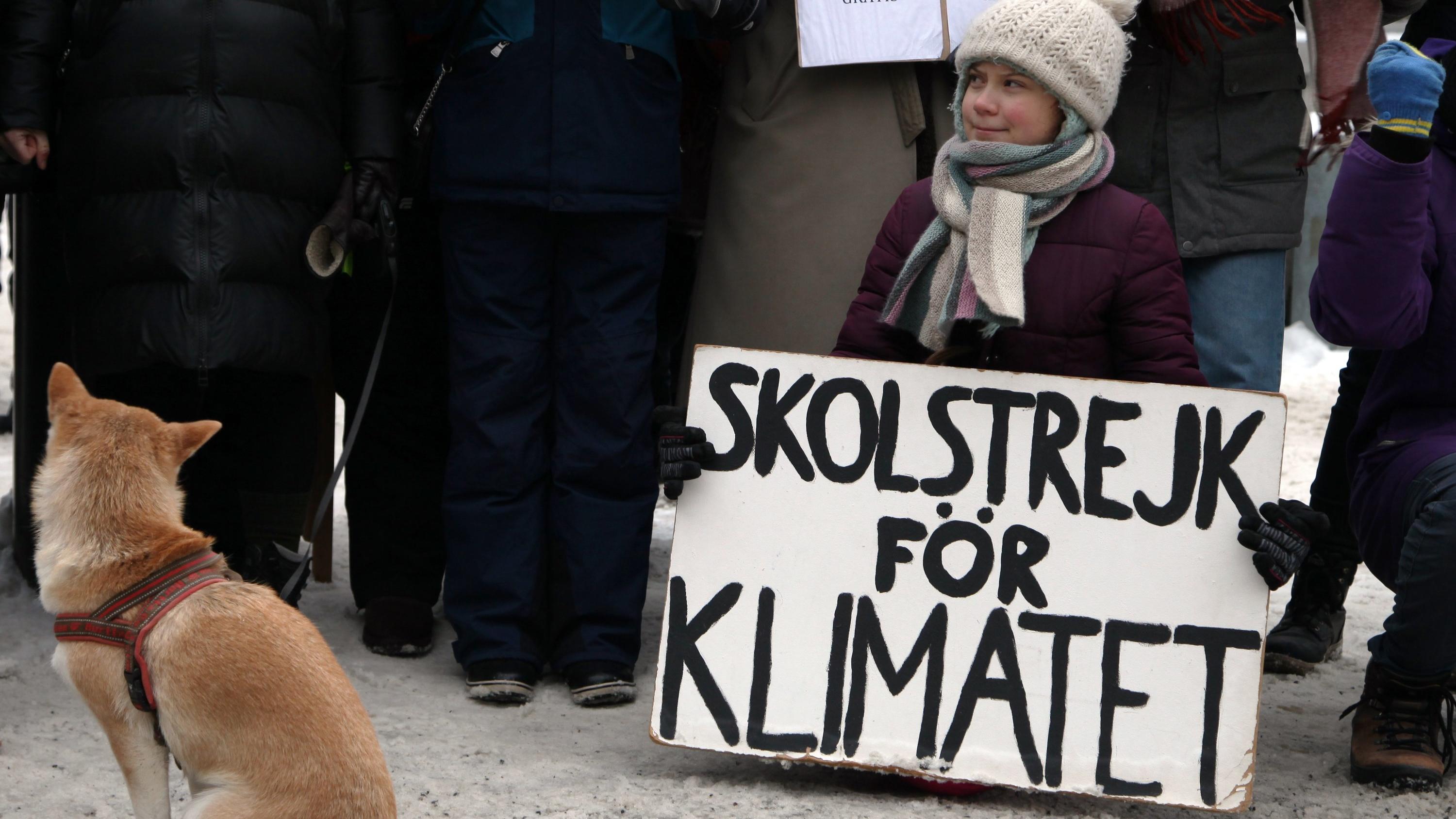 01.02.2019, Schweden, Stockholm: Die 16-jährige Schwedin Greta Thunberg demonstriert vor dem Reichstag in Stockholm für mehr Klimaschutz mit einem Plakat "skolstrejk for klimatet" (Schulstreik für das Klima). (zu dpa-Story - Jugendproteste vom 07.02.