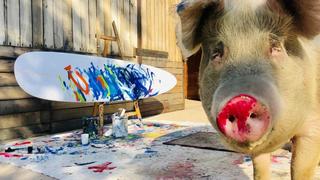 Pigcasso: Saumäßige Kunst in Südafrika