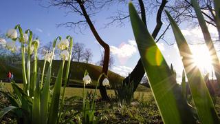 Spaziergänger gehen am Samstagnachmittag (03.03.2007) im Westpark in München (Oberbayern) an Frühlingsblumen vorbei. Am Montag scheint nach Vorhersagen der Meteorologen vormittags verbreitet die Sonne, ab den Mittagsstunden sollen aber allmählich wieder dichtere Wolken und etwas Regen aufziehen. Die Höchstwerte liegen dann zwischen 9 und 14 Grad. Foto: Andreas Gebert dpa/lby +++(c) dpa - Bildfunk+++