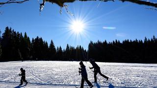 Skifahrer im Harz