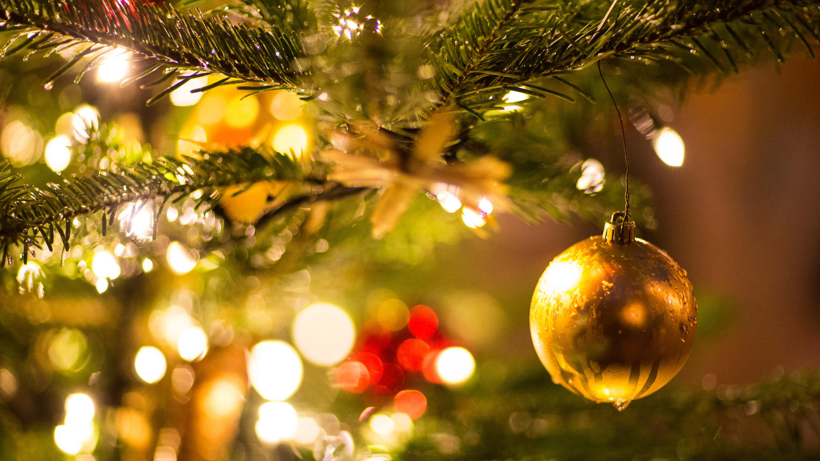 Ein beleuchteter Weihnachtsbaum machte einer Merseburger Passantin Sorgen.