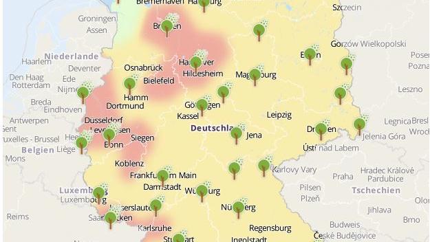 Horror für Allergiker: Frühlingslüftchen lässt schon die Pollen fliegen