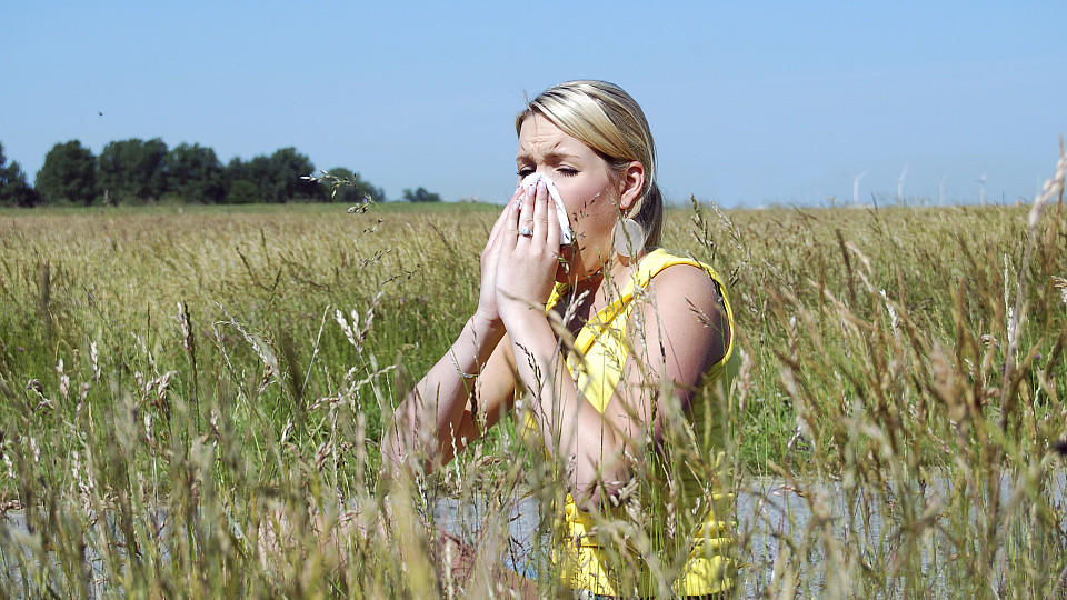Junge Frau mit Heuschnupfen, putzt sich die Nase, Pollenallergie, Allergie / niessen, niesst, niessend