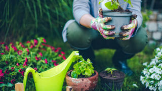 Portrait of mid-adult woman proudly showing her plants 