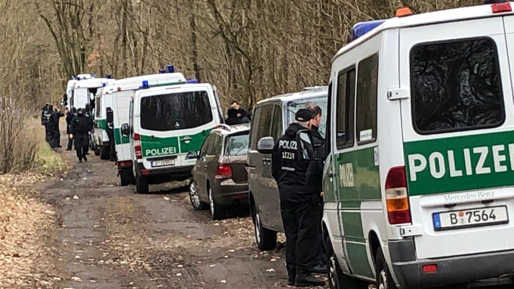 Suche nach Rebecca: Polizisten durchkämmen ein Waldstück in Brandenburg