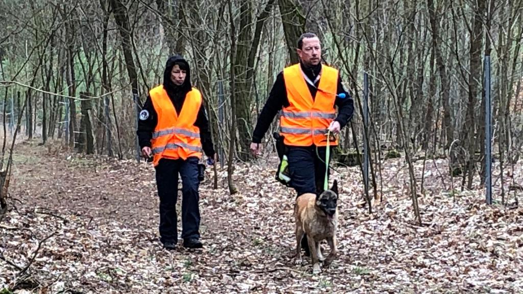 Hier sucht die Polizei den Wald bei Storkow mit Spürhunden ab. Fall Rebecca.