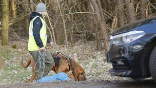 Germany: Police search forest area for the missing Brandenburg: Search operation of the riot police with dogs and helicopters in the forest after the missing Rebecca from Berlin. The forest area is located in southeastern Berlin near Storkow. The 15-year-old student is missing since 18 February 2019. Kummersdorf bei Storkow Brandenburg Germany Waldgebiet PUBLICATIONxINxGERxSUIxAUTxONLY SimonexKuhlmey  
