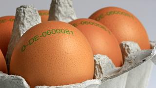 braune Bio-Eier mit Herkunftsstempel in einem Eierkarton, Herkunftsland Deutschland, Deutschland | brown organic eggs, Germany | Verwendung weltweit