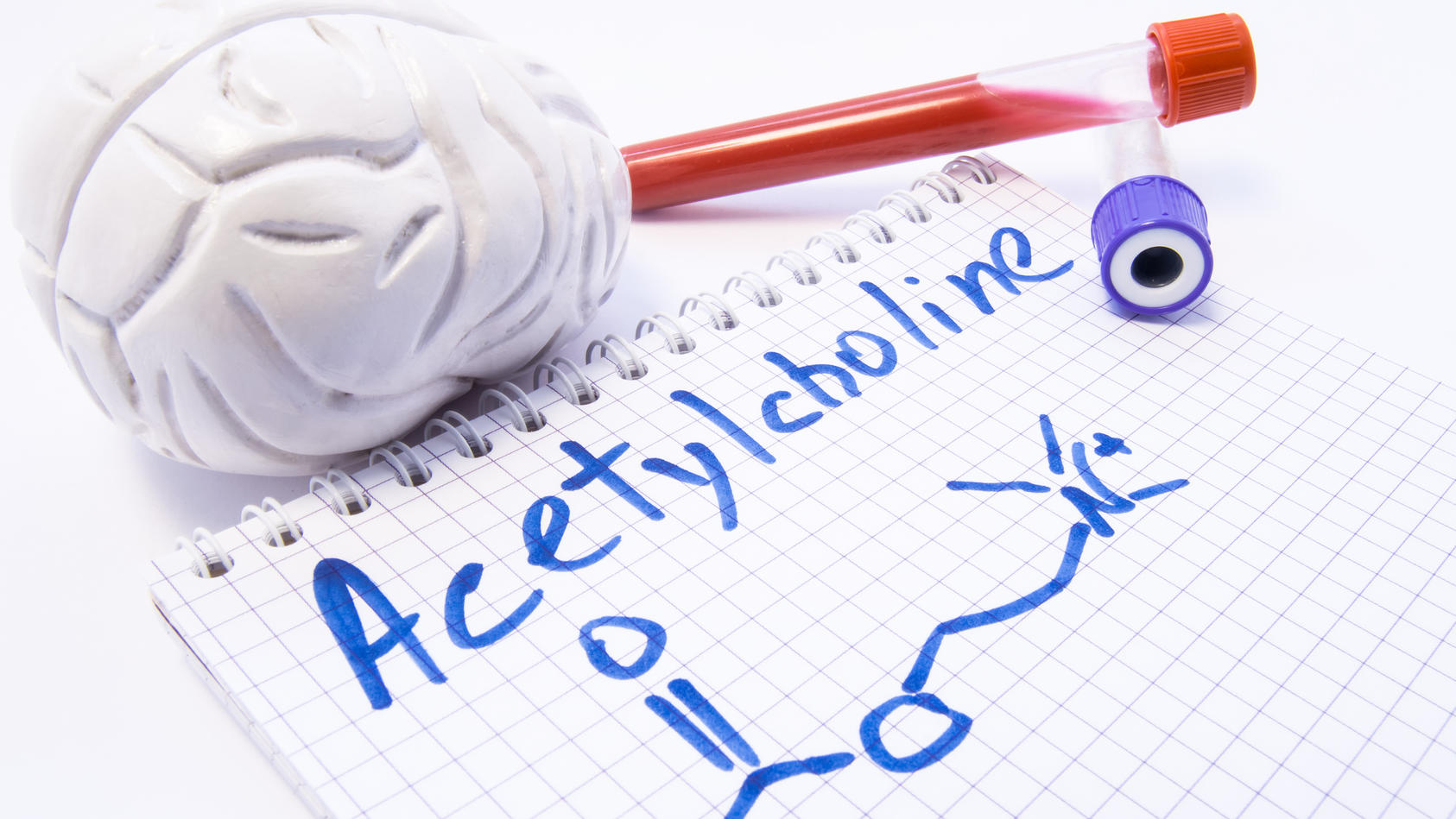 Gesundheitslexikon: Acetylcholin (ACh) ist einer der wichtigsten Neurotransmitter in vielen Organismen, so auch im Menschen.