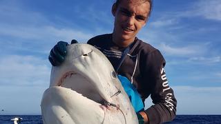 Ein australischer Fischer hat einen Haikopf gefangen.