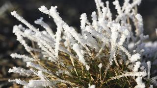 Winter, Eiseskälte, Eiskreistalle, Raureif, gefrorene Luftfeuchtigkeit auf Pflanzen und Gegenständen, Deutschland, Europa | Verwendung weltweit, Keine Weitergabe an Wiederverkäufer.