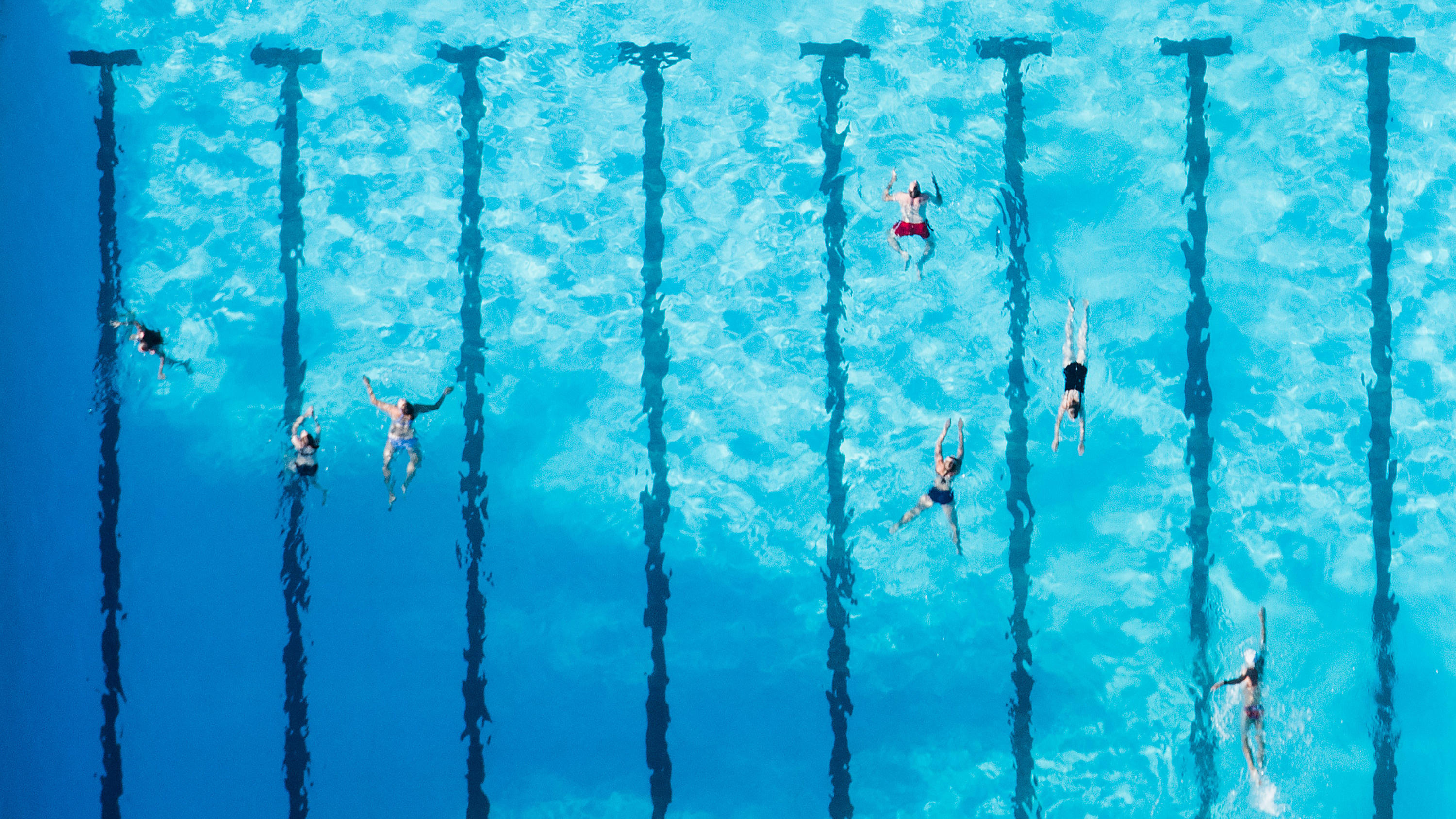 Schwimmen ist der ideale Ausdauersport.