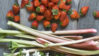 Rhubarb stalks, strawberries and apple blossoms on wood PUBLICATIONxINxGERxSUIxAUTxHUNxONLY ASF06228  