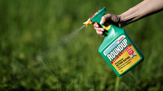 FILE PHOTO: A woman uses a Monsanto's Roundup weedkiller spray without glyphosate in a garden in Ercuis near Paris, France, May 6, 2018. REUTERS/Benoit Tessier/File Photo