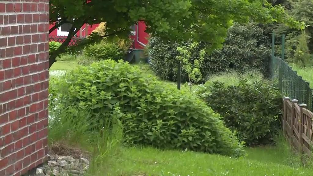 Hinter diesem Haus sollen die beiden Jungen tot entdeckt worden sein.