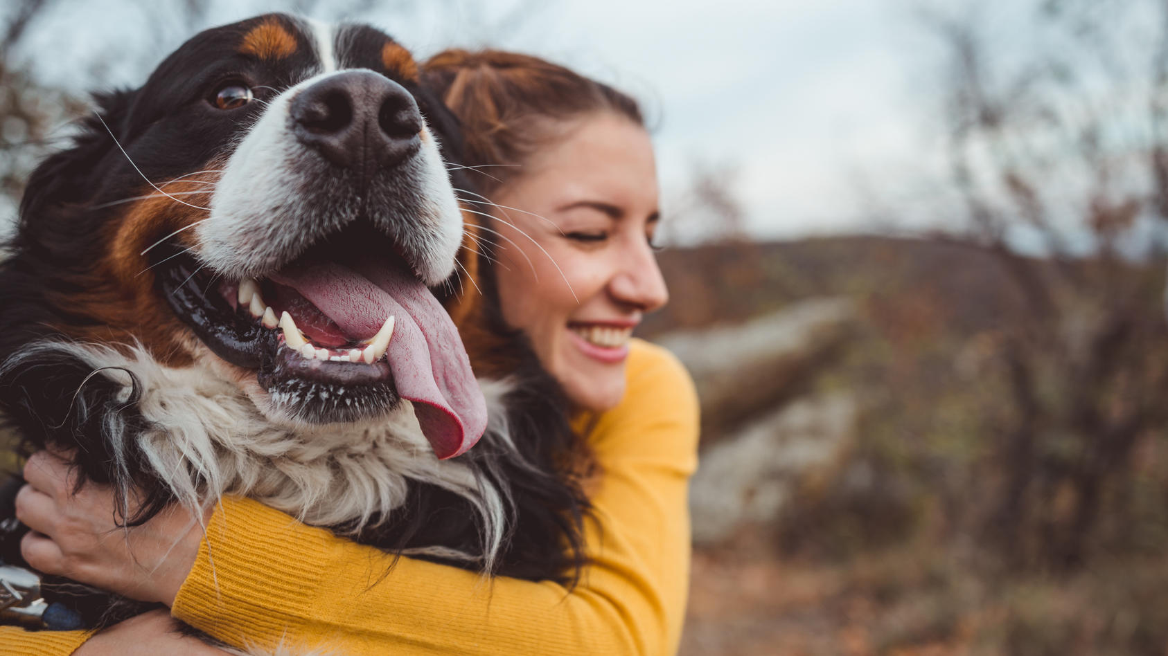 Partnersuche hundeliebhaber