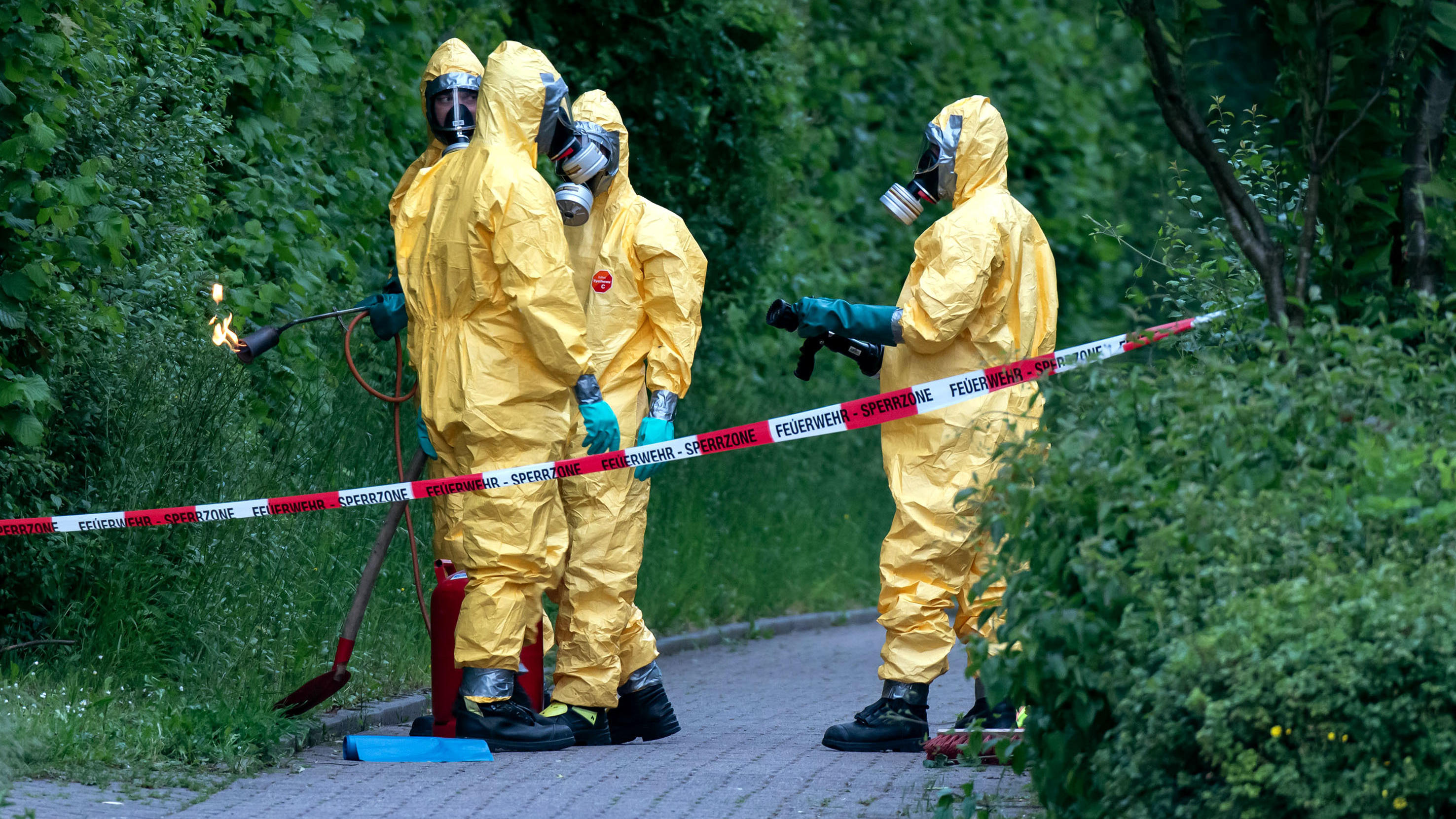 Bekämpfung der Raupen darf nur von Profis vorgenommen werden.
