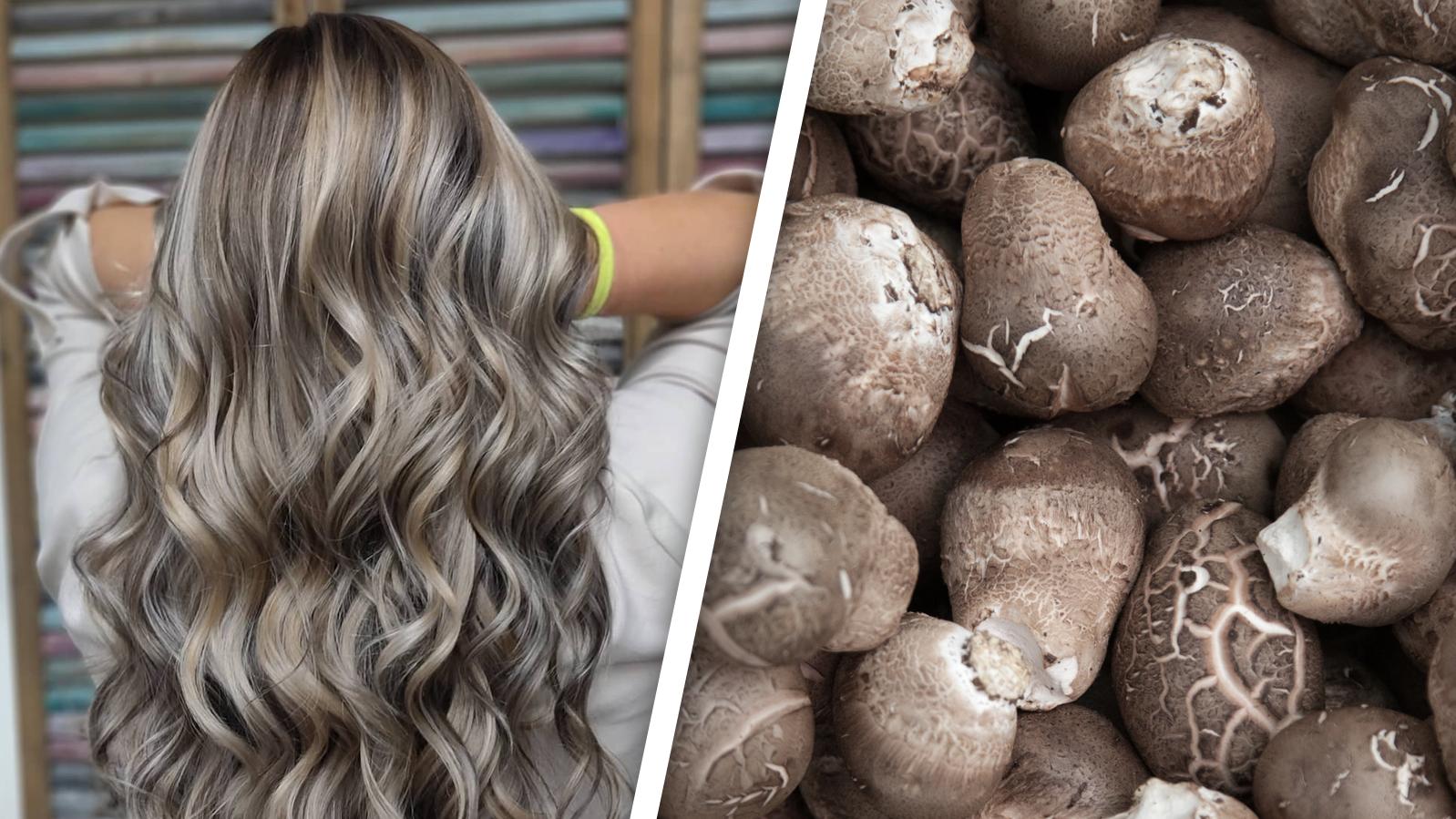 3. 10 Stunning Mushroom Blonde Balayage Ideas for Every Hair Length - wide 6