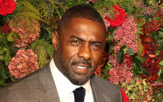 Ohnmachtsanfall: Idris Elba eilt Frau zur Hilfe
