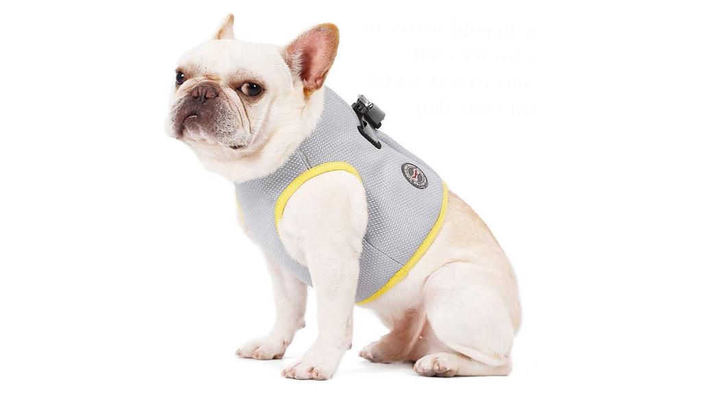 Kühlweste für Hunde